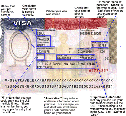 howtoreadvisa1